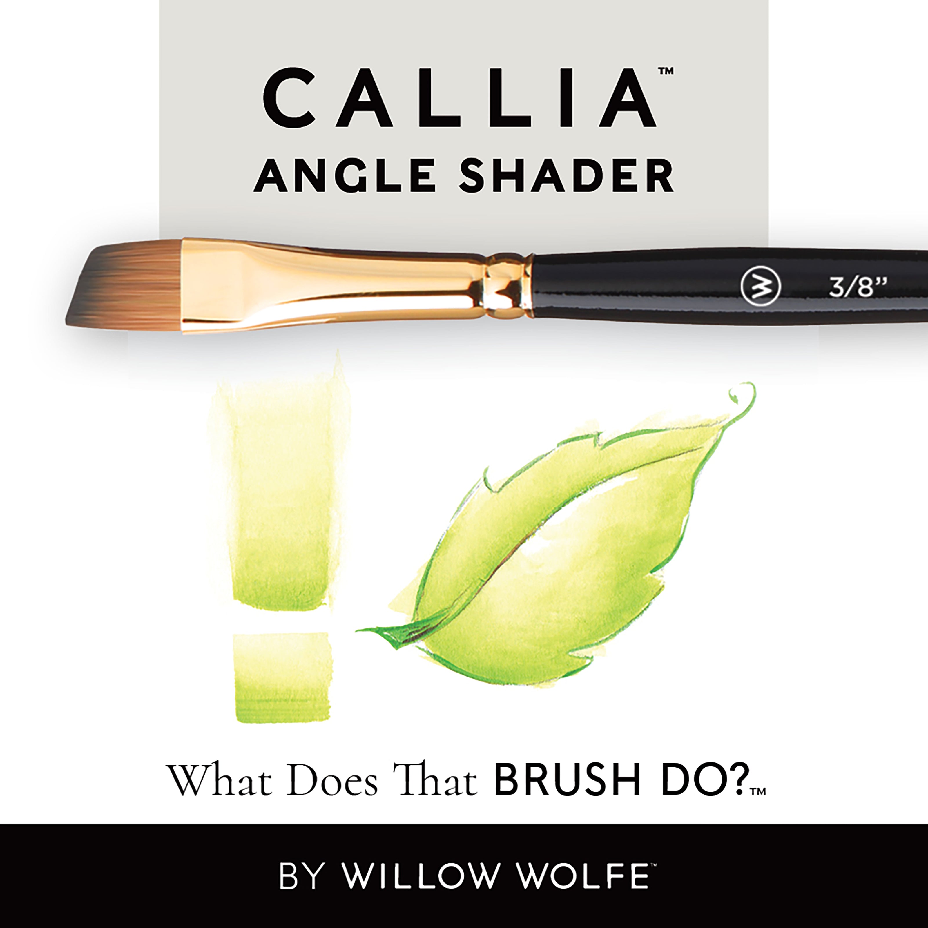Callia® Angle Shader,  Synthetic Sable Artist Brushes: Willow Wolfe
