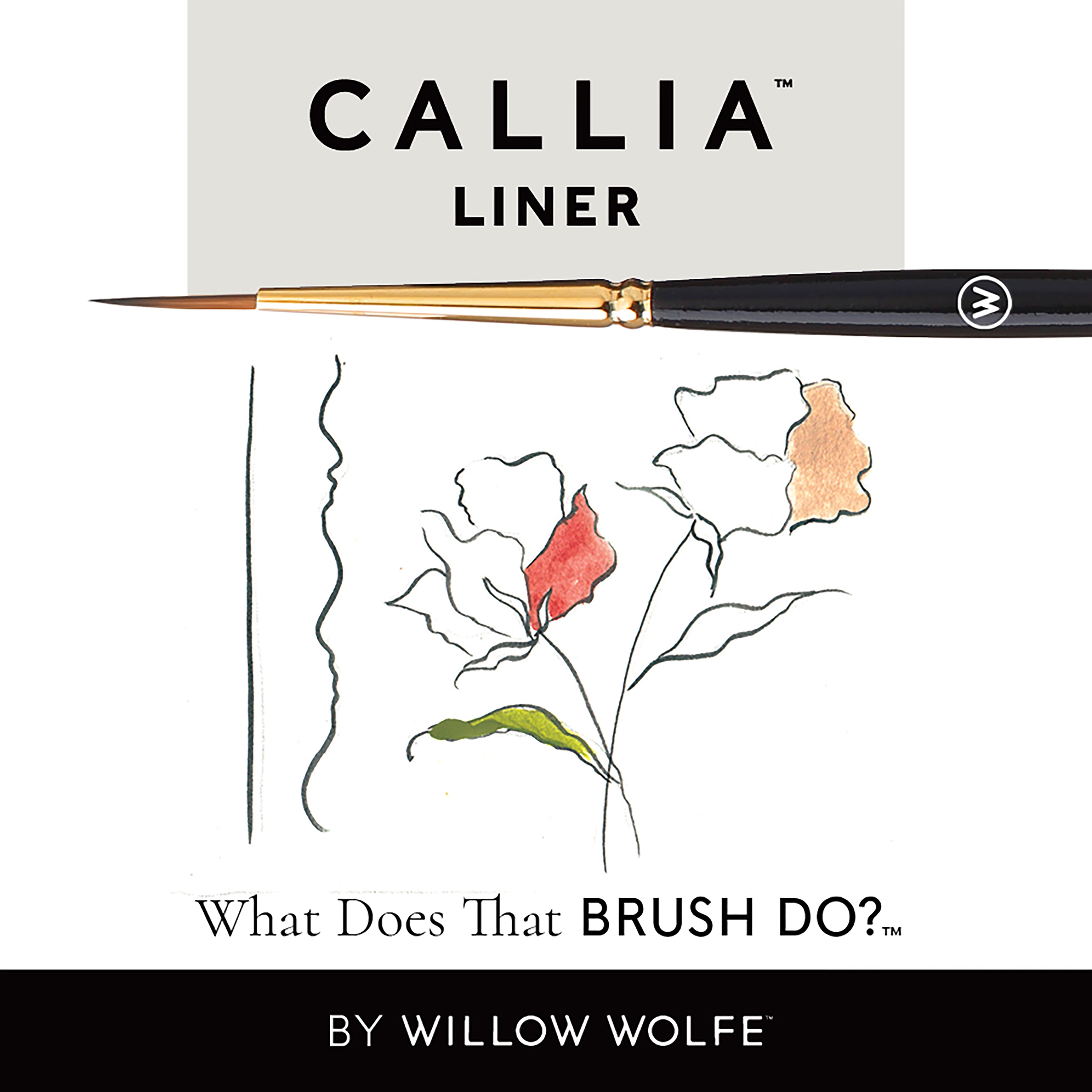 Callia® Liner, Synthetic Sable Artist Brushes: Willow Wolfe