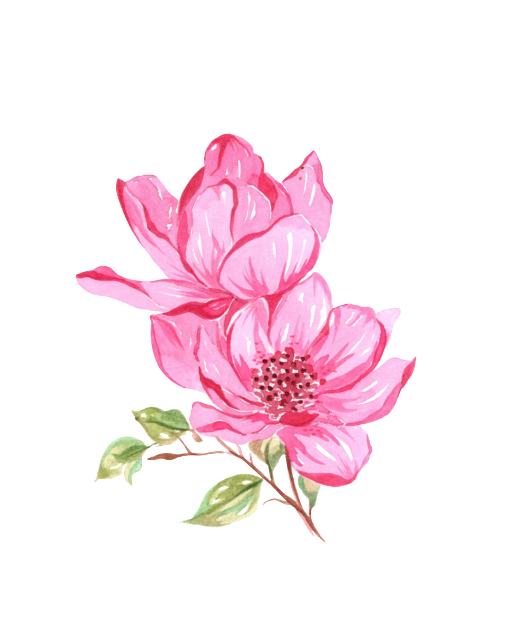 Bold Flowers Watercolor Workbook