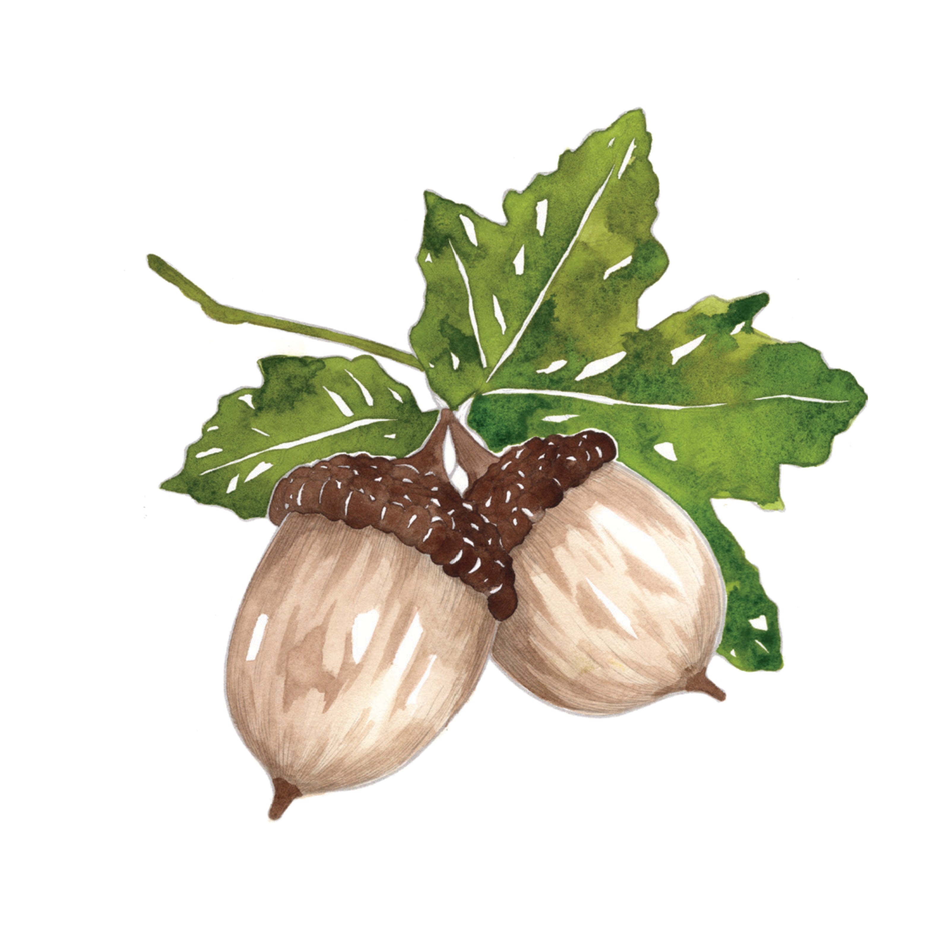 Fall Into Color Watercolor Workbook by Nya Wolfe