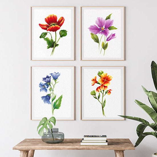 Botanicals for Beginners