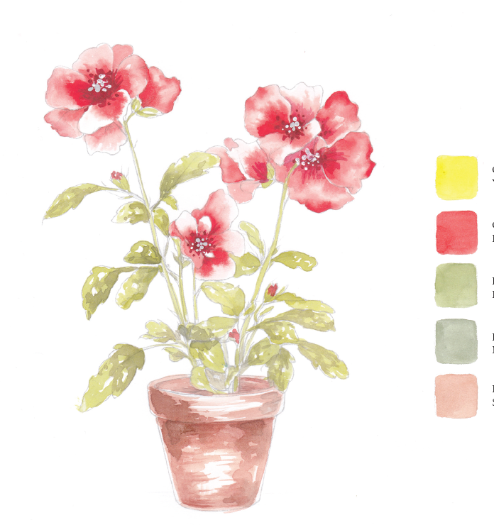 Blooms & Bouquets Watercolor Workbook by Willow Wolfe