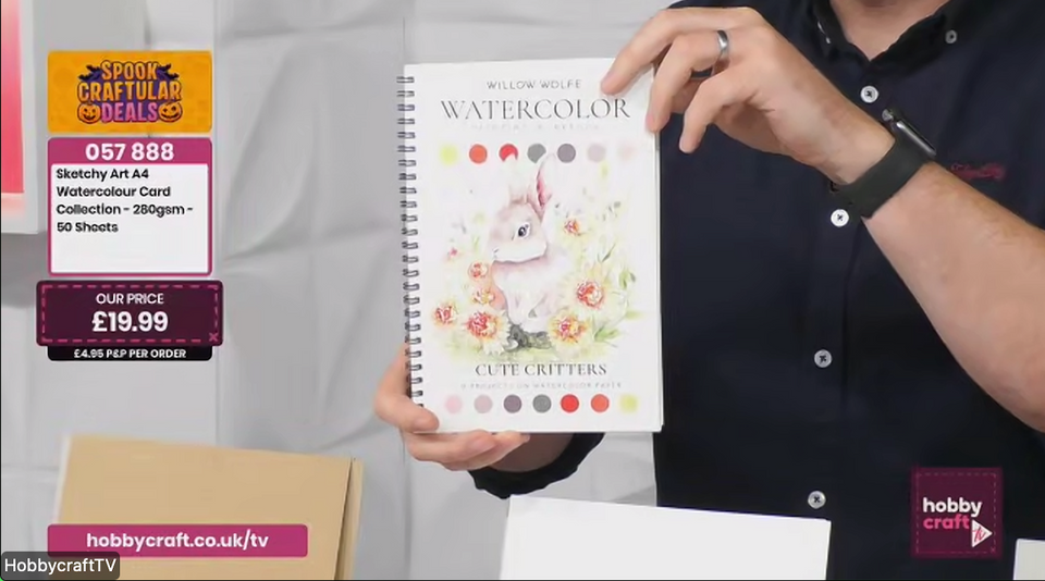 🎨 Willow Wolfe on Hobbycraft TV 🎬