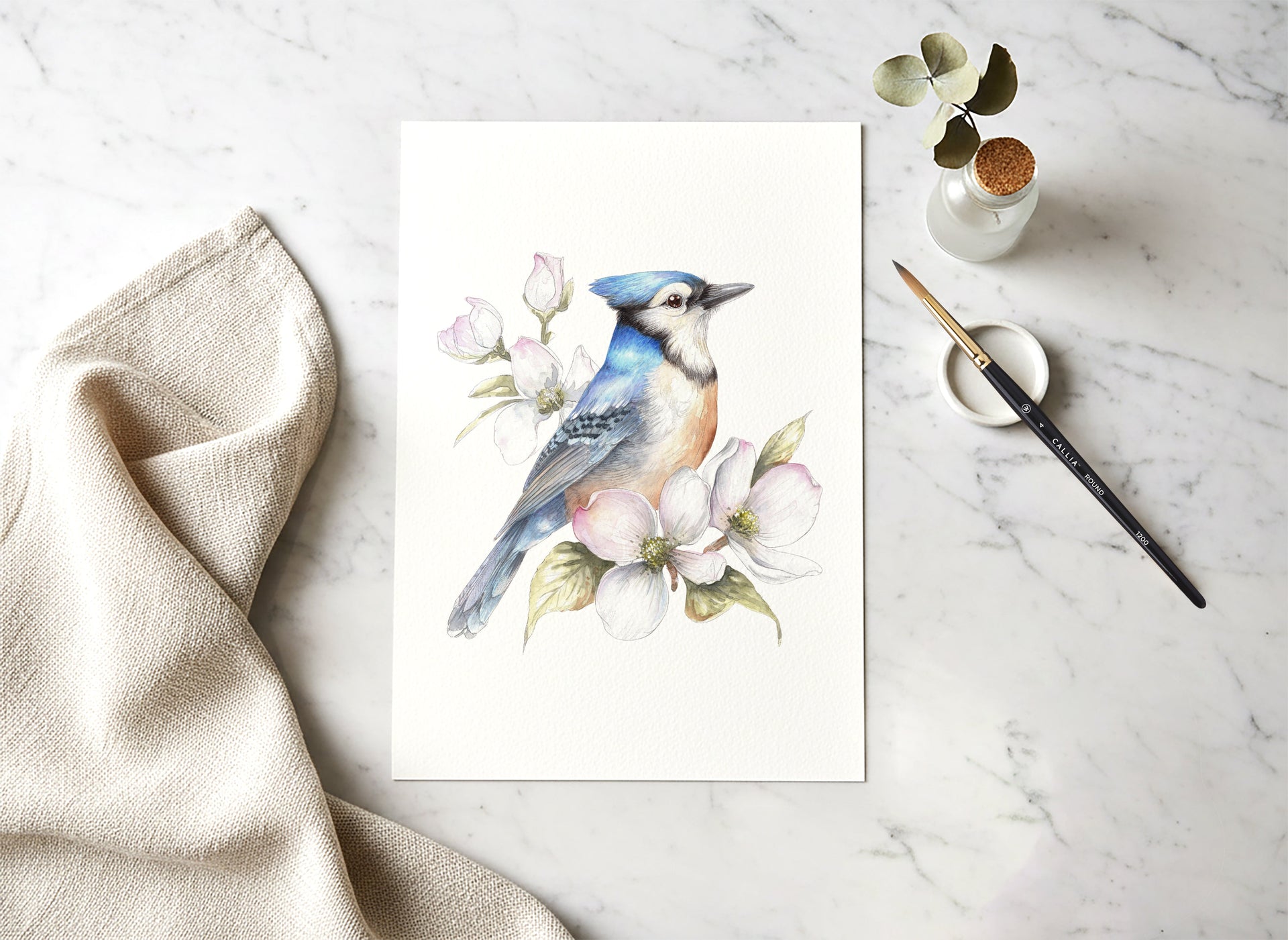 Watercolor Courses