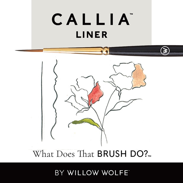 Callia® Liner, Synthetic Sable Artist Brushes: Willow Wolfe