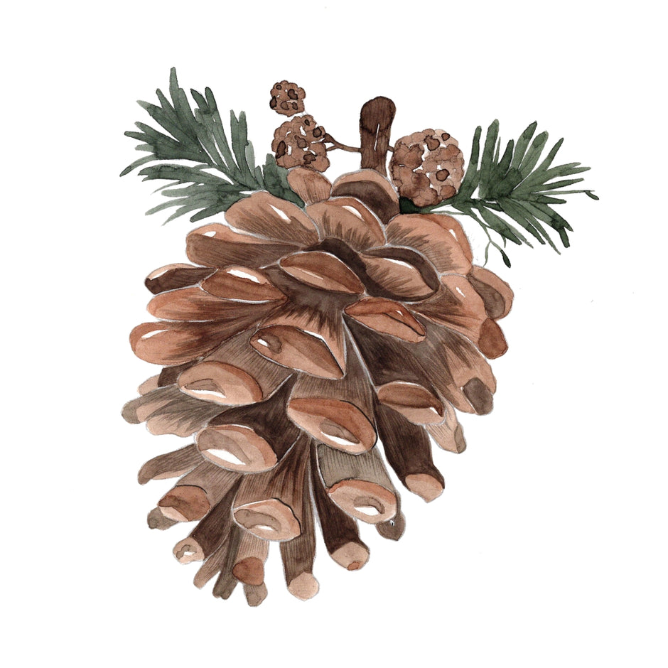 Winter Glow Watercolor Workbook By Nya Wolfe