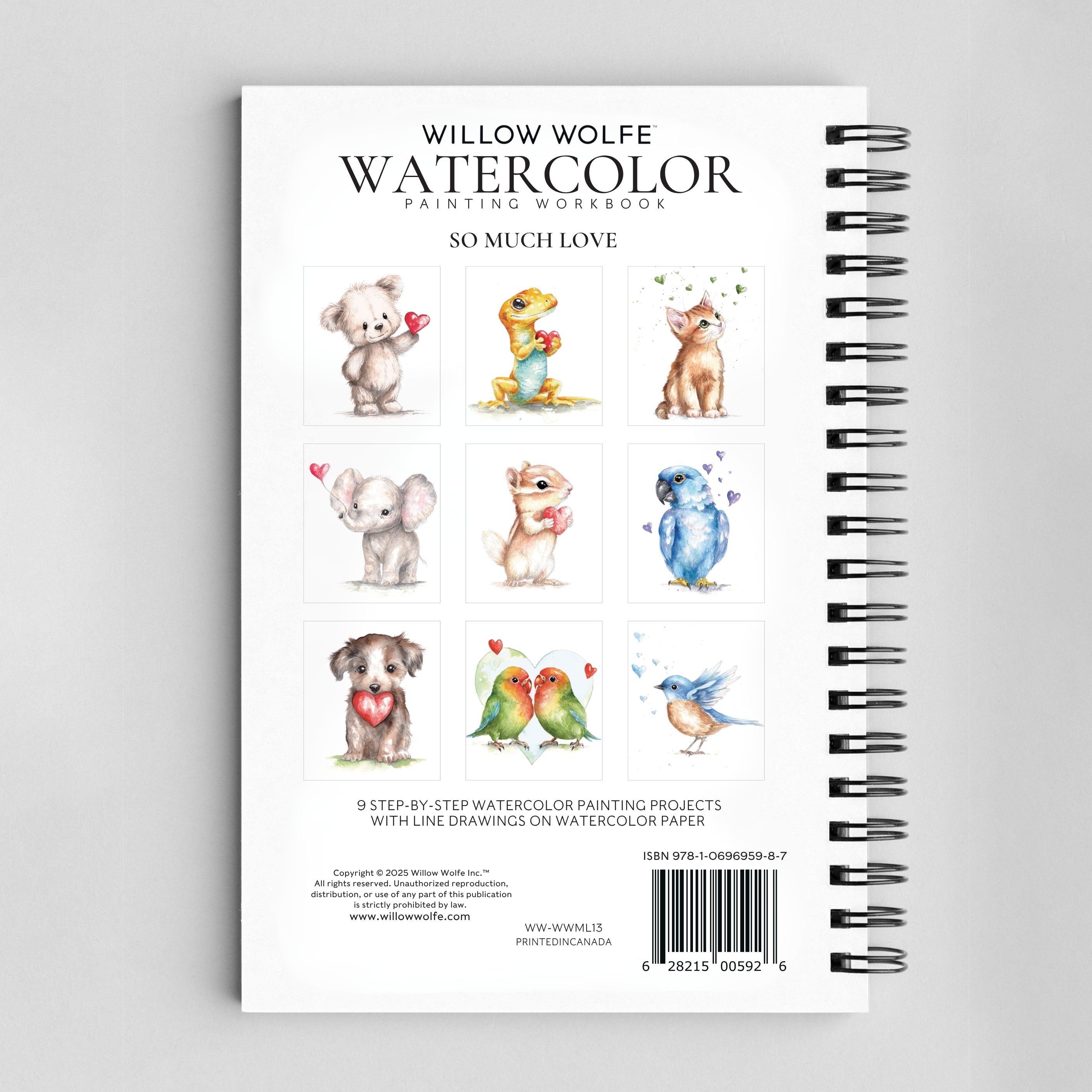 So Much Love Watercolor Workbook By Willow Wolfe