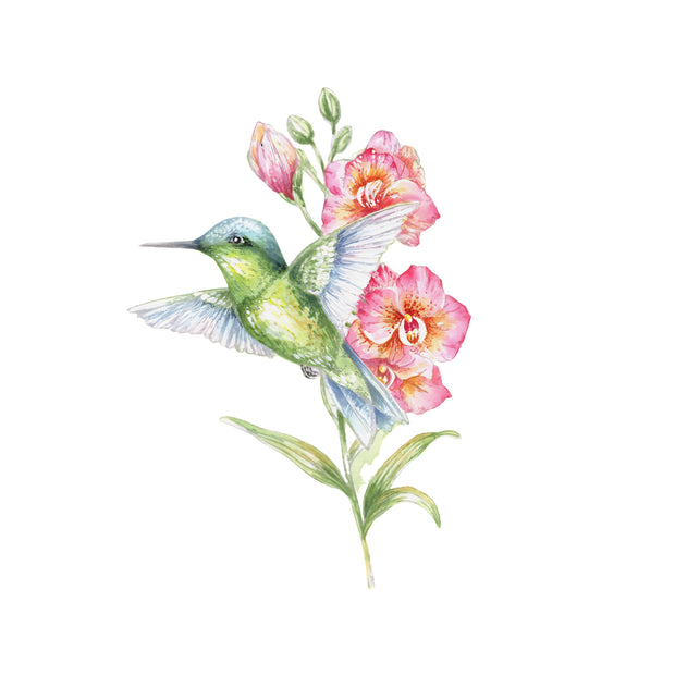 Hummingbird & Orchids - LIVE ON ZOOM