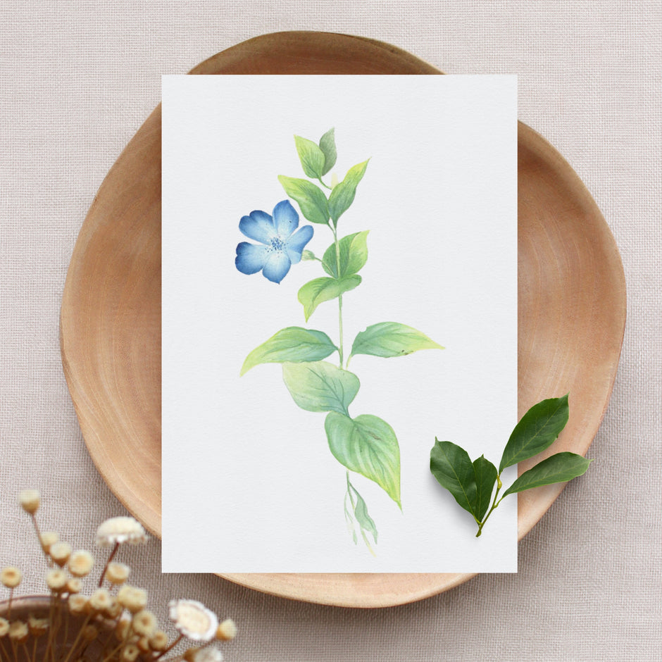 Cool Blue Flowers & Leaves in Watercolor - TWS7