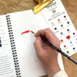 Mushroom Meadows Workbook + Gouache Paint Bundle