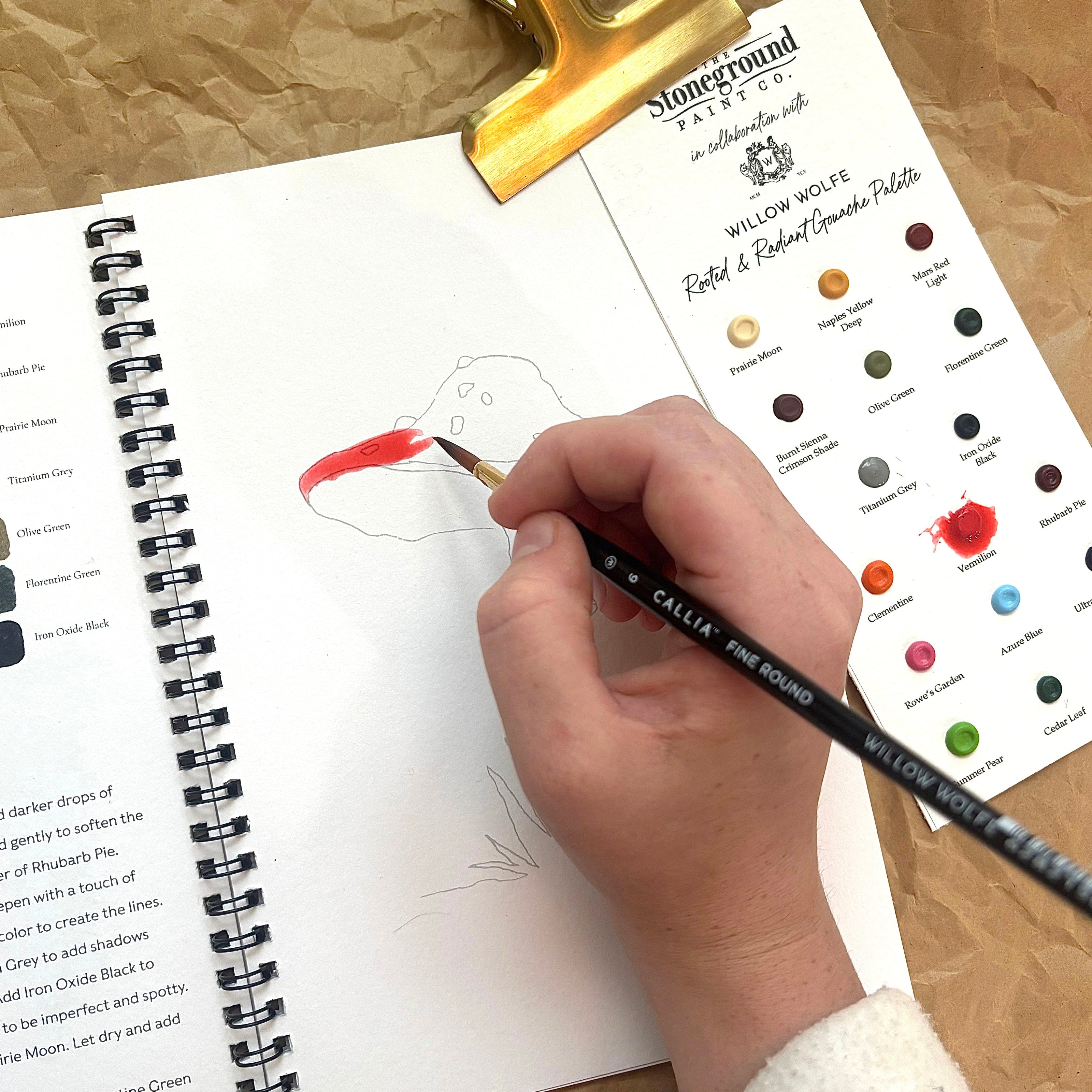 Mushroom Meadows Workbook + Gouache Paint Bundle