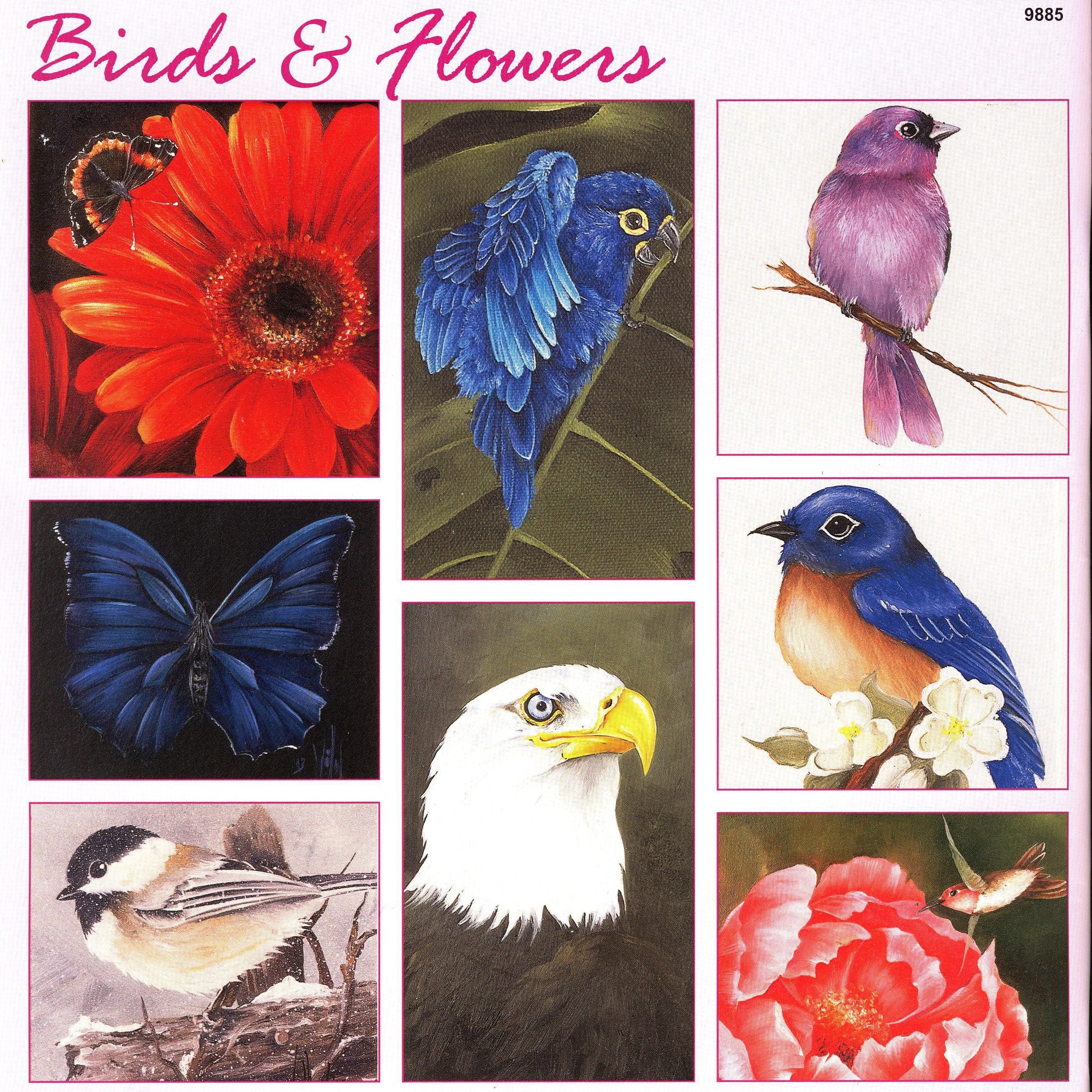 Painting Birds & Flowers in Acrylic - Discontinued