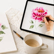 The Watercolor Studio Membership