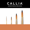 Callia® Round Shapes Brush Set, Synthetic Sable: Set 200