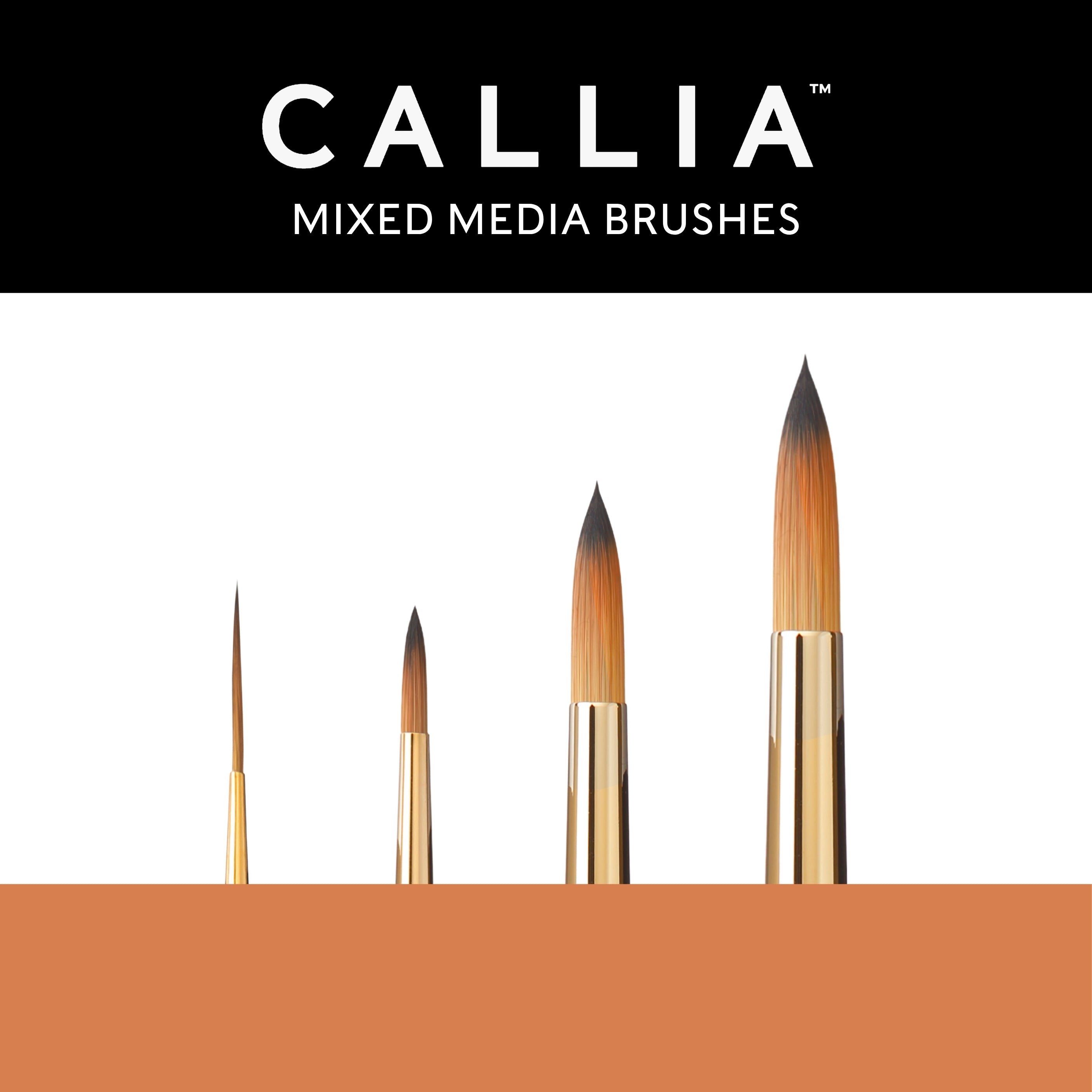 Callia® Round Shapes Brush Set, Synthetic Sable: Set 200