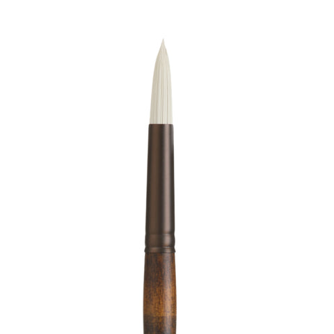 Seneca® Round Premium Synthetic Bristle Paint Brush by Willow Wolfe