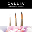 Callia® Intro Rounds Brush Set, Synthetic Sable: Set 1700