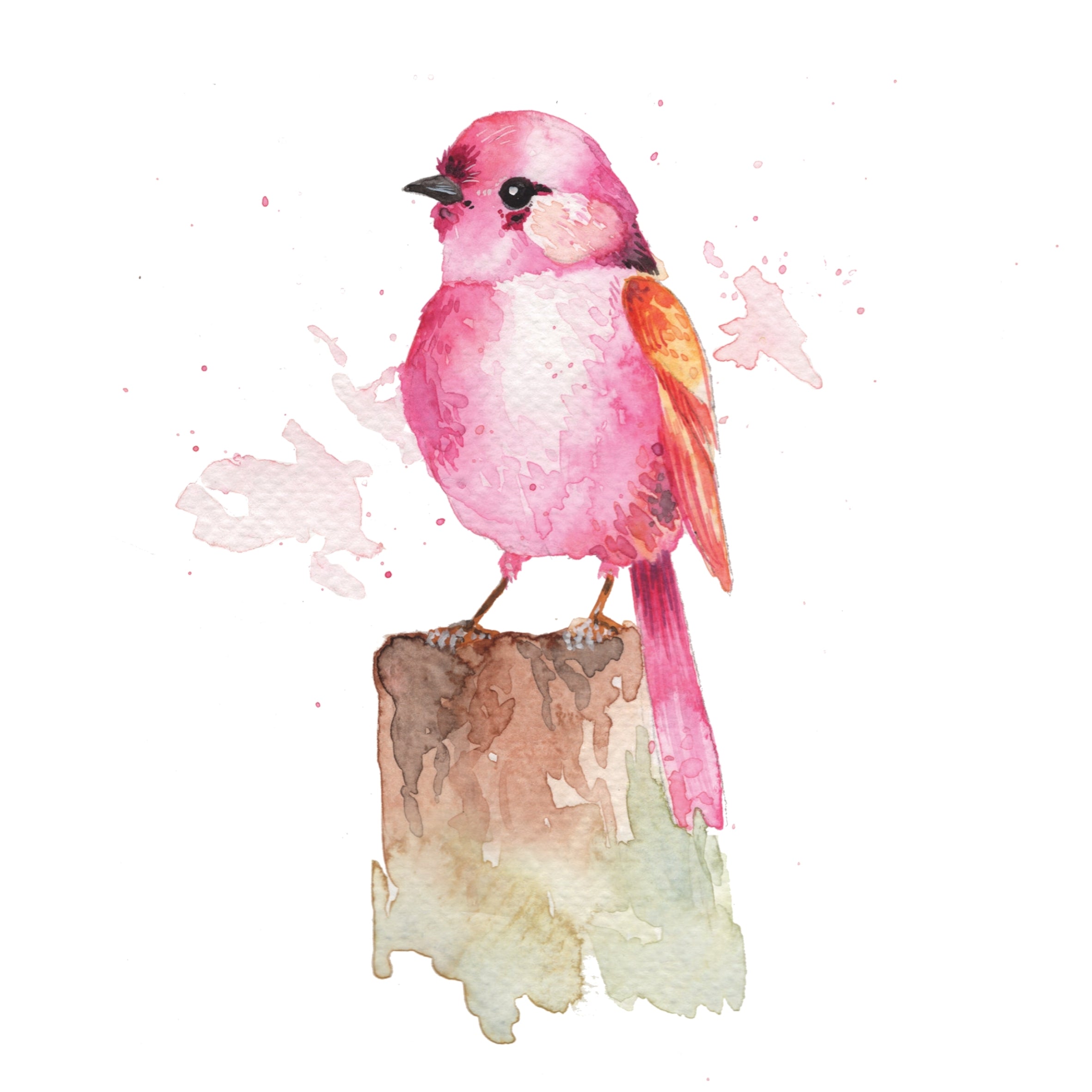 Beautiful Birds Watercolor Workbook by Willow Wolfe