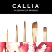 Callia® Watercolor Details Brush Set: Set No. 1000