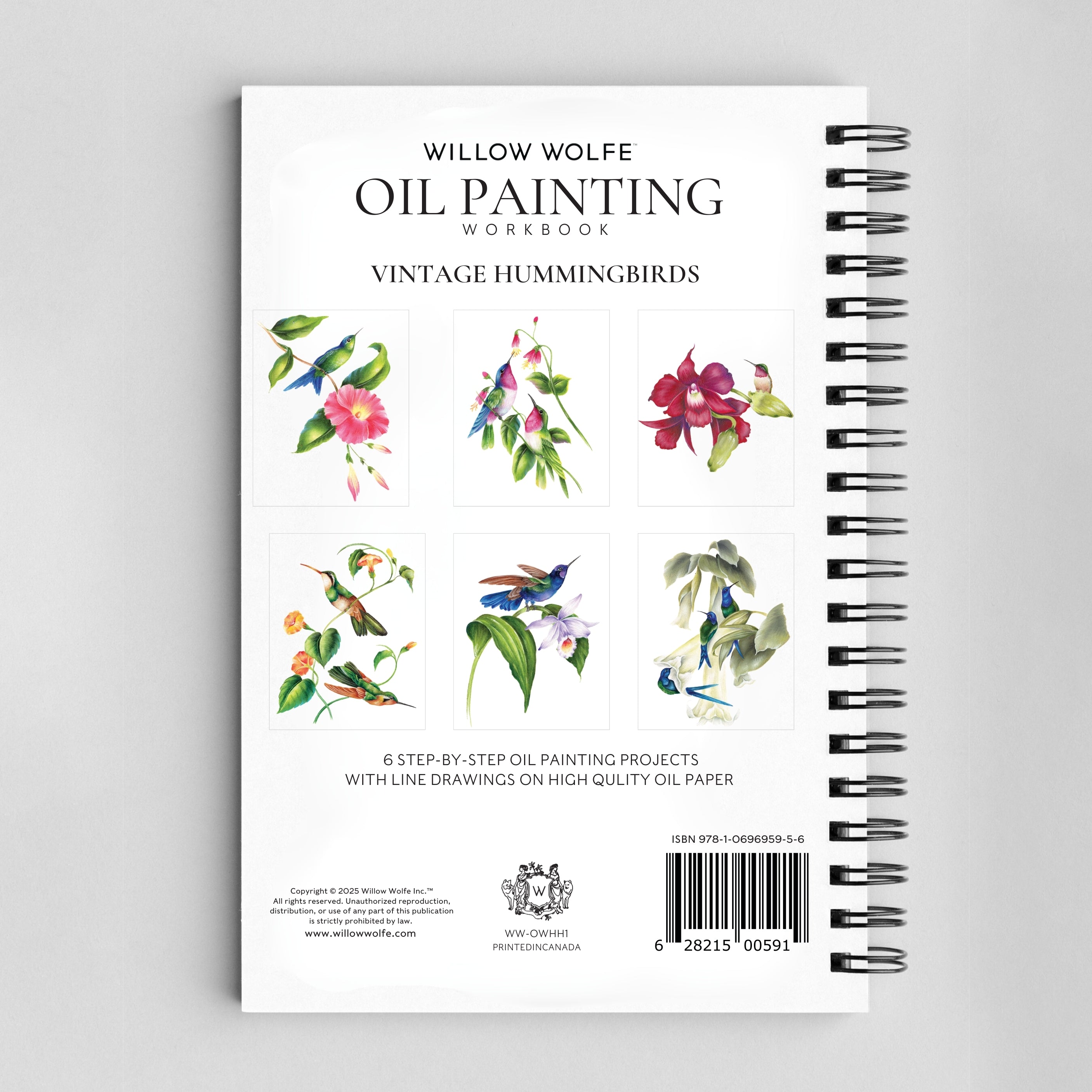 Vintage Hummingbirds Oil Workbook by Willow Wolfe - Limited Quantities