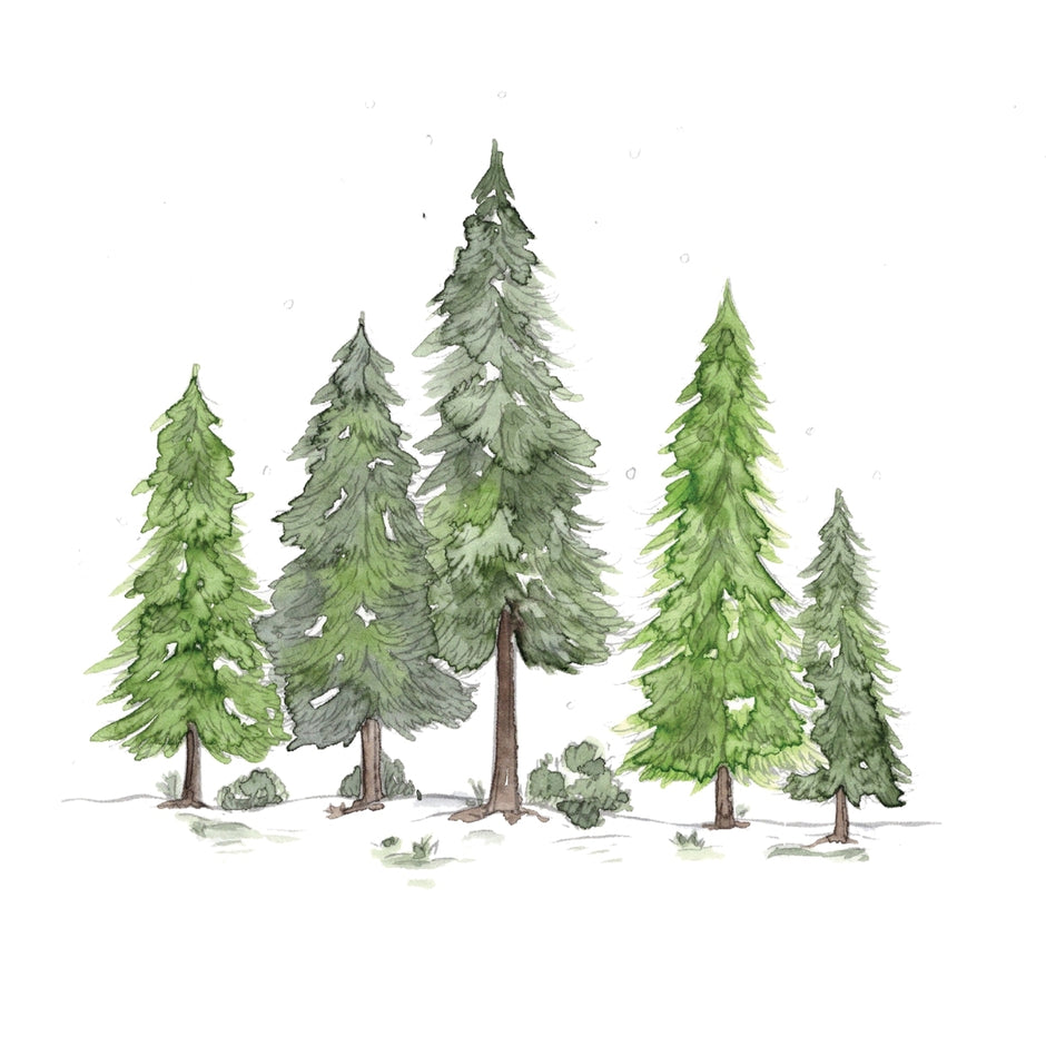 Winter Glow Watercolor Workbook By Nya Wolfe