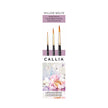 Callia® Intro Rounds Brush Set, Synthetic Sable: Set 1700