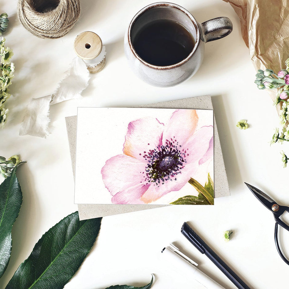 Botanicals for Beginners