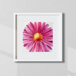 Framed artwork of a pink flower with a white frame on a light gray wall.