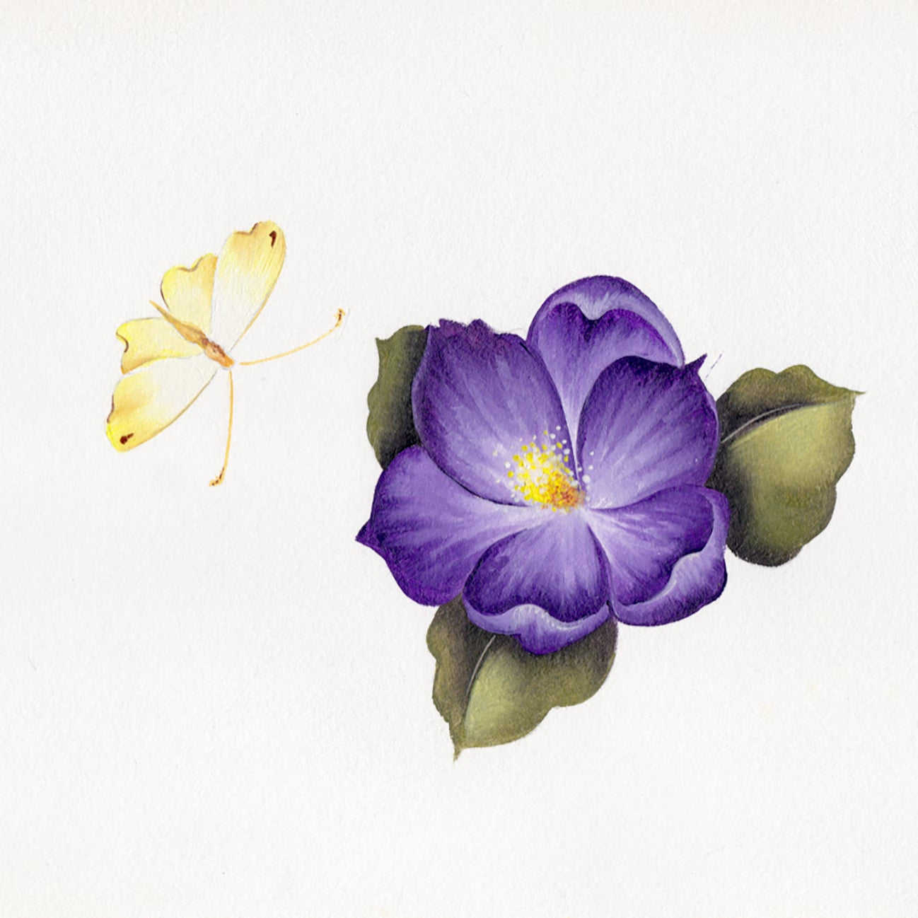 Purple flower with green leaves and a yellow butterfly on a white background