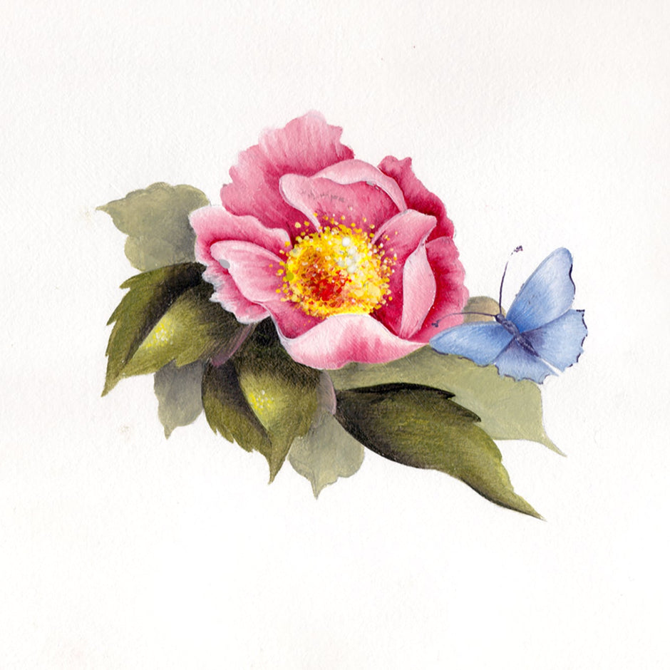 Pink flower with a yellow center and a blue butterfly on green leaves against a white background