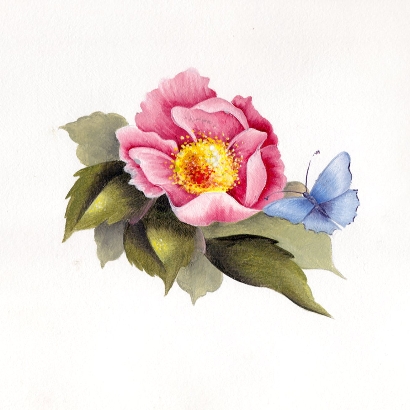 Pink flower with a yellow center and a blue butterfly on green leaves against a white background