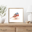 Watercolor Birds Masterclass