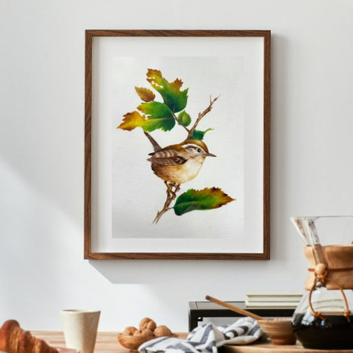 Warm & Cozy Autumn Wren