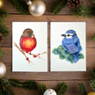 Bluejay & Robin Ornament Course