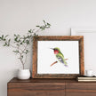 Watercolor Birds Masterclass
