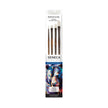 Seneca Artist Series® Synthetic Bristle Paint Brush Set Featuring Dimitri Sirenko: Set 100