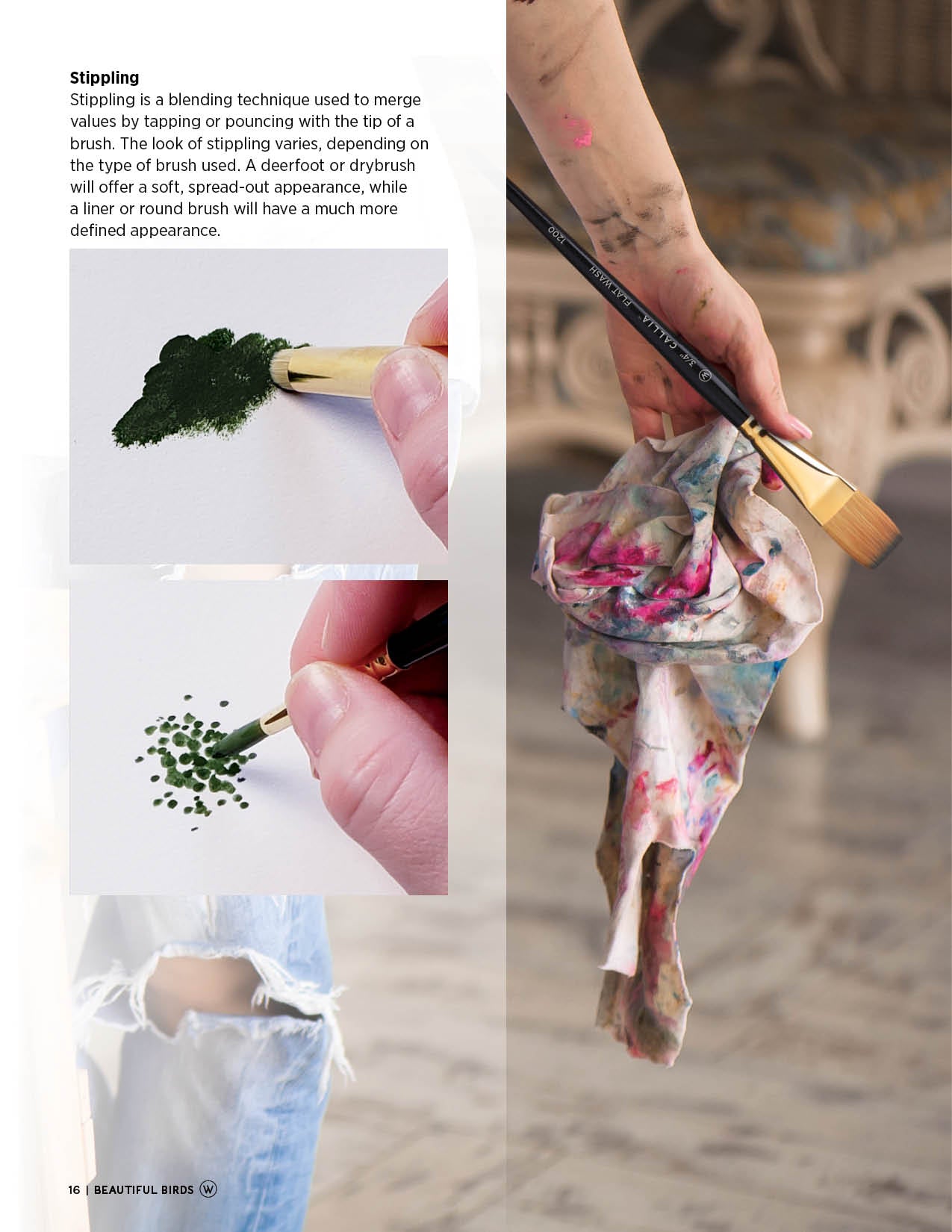 Hummingbirds & Angel Ebook