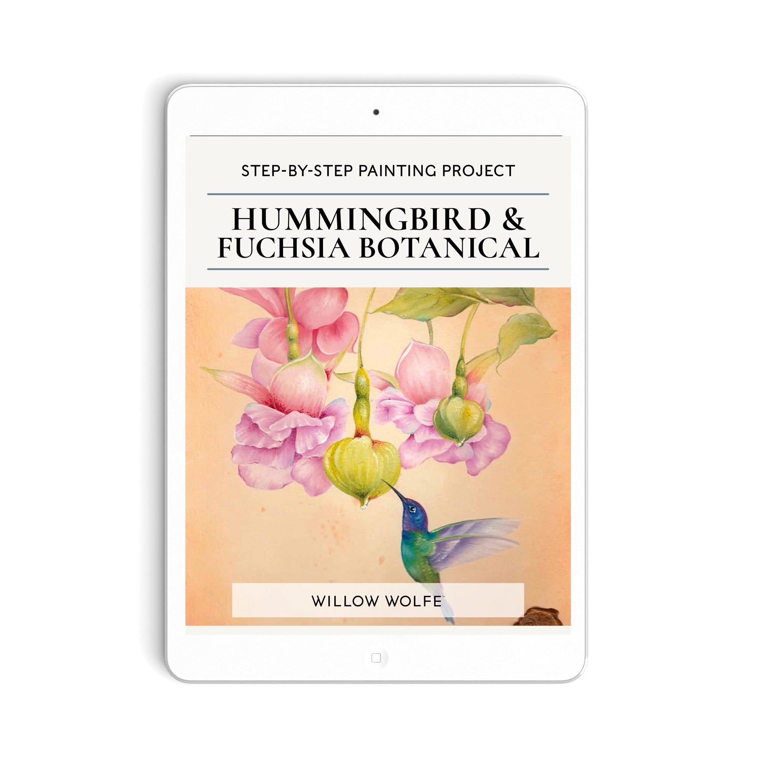 Hummingbird & Fuchsia