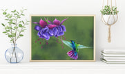 Vibrant Hummingbird & Fuchsia