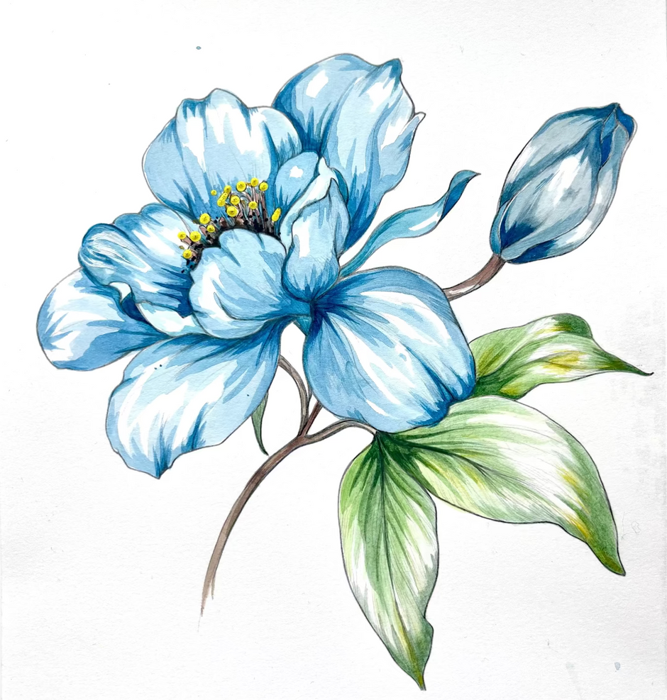 Bold Blue Peony