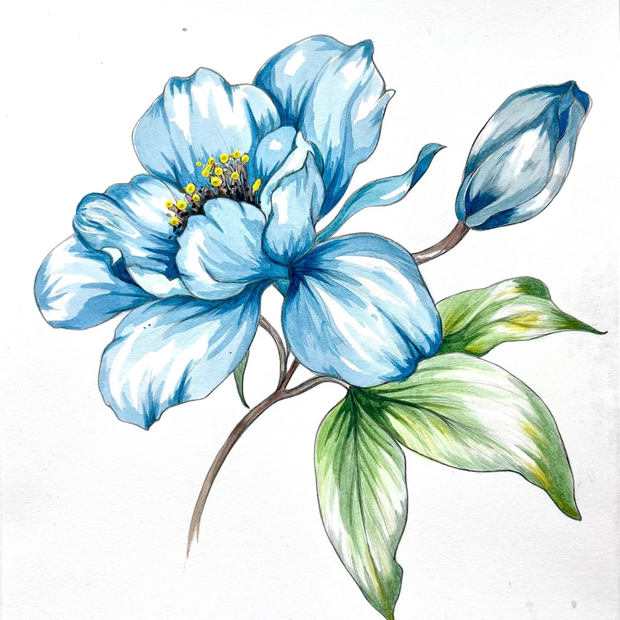 Bold Blue Peony