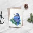 Bluejay & Robin Ornament Course