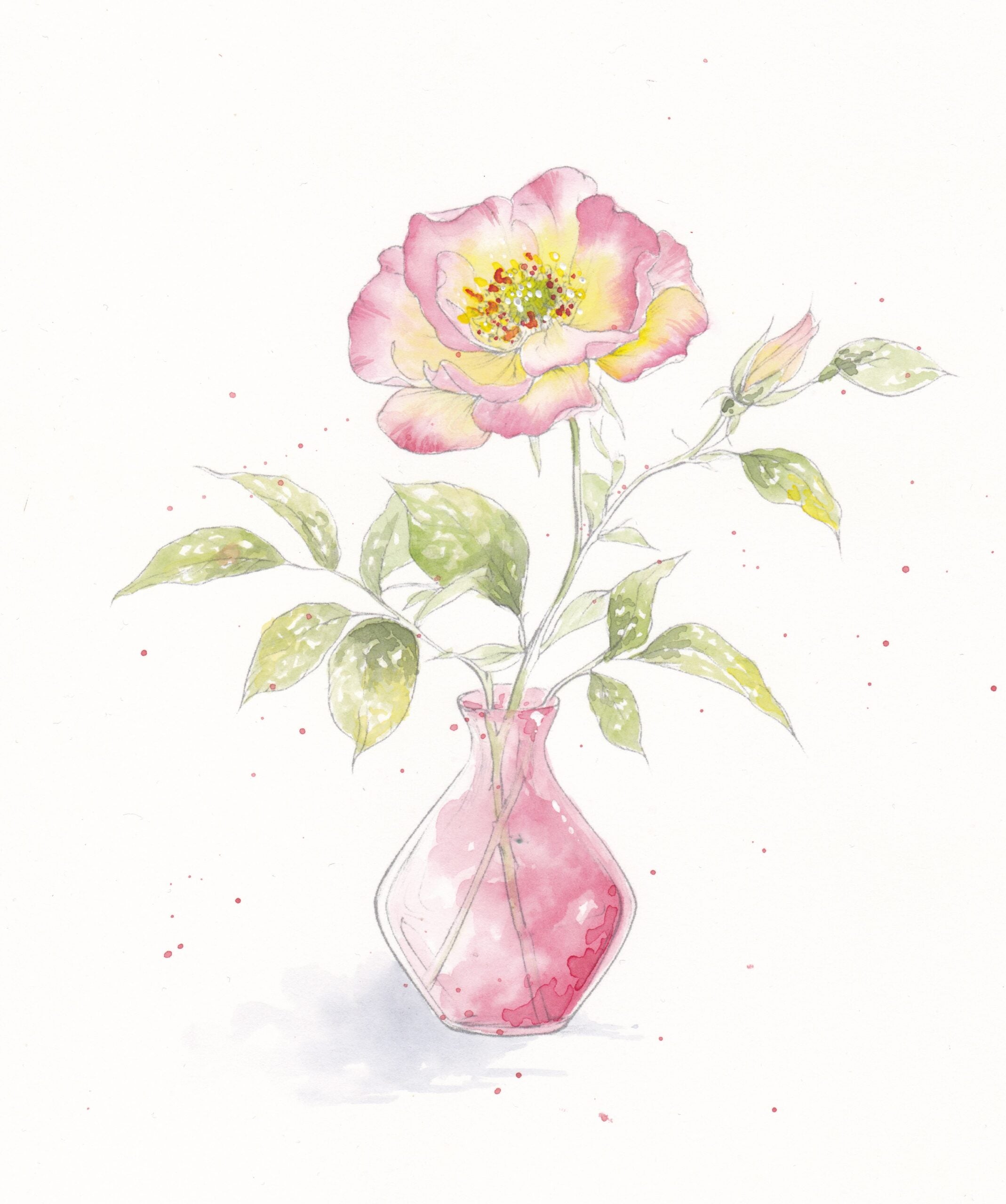 Watercolor Blooms & Bouquets