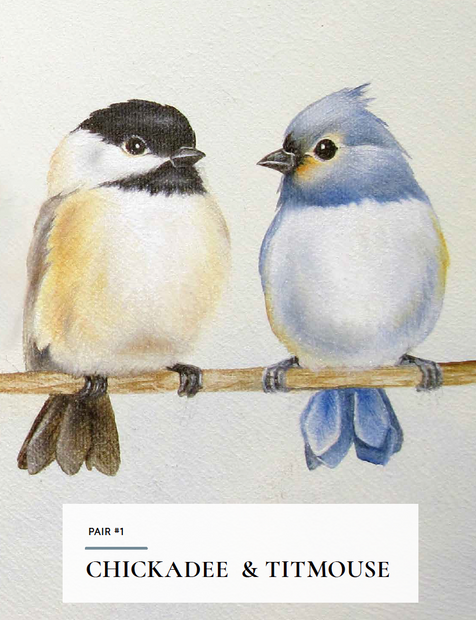 How to Paint Backyard Birds for Beginners