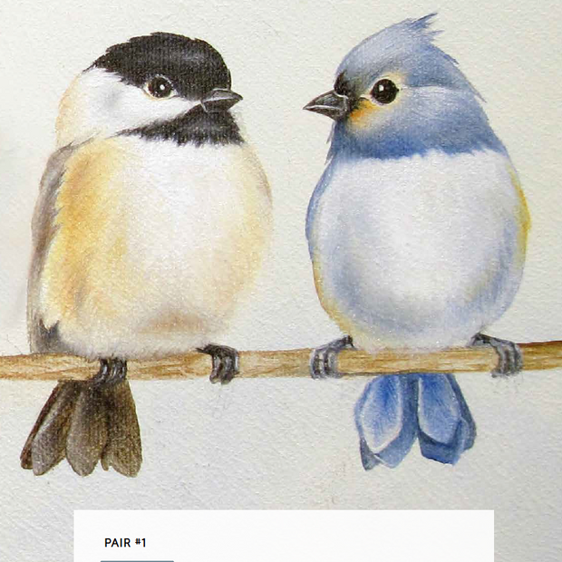 How to Paint Backyard Birds for Beginners