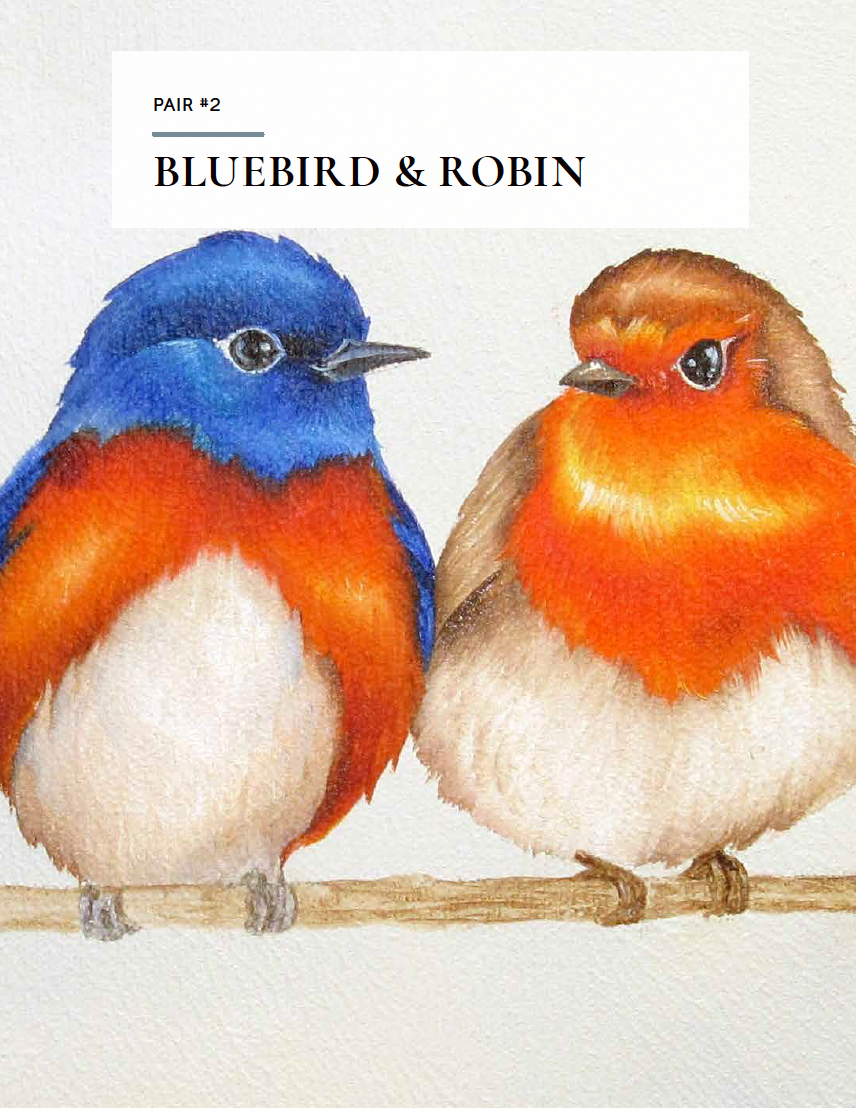 How to Paint Backyard Birds for Beginners