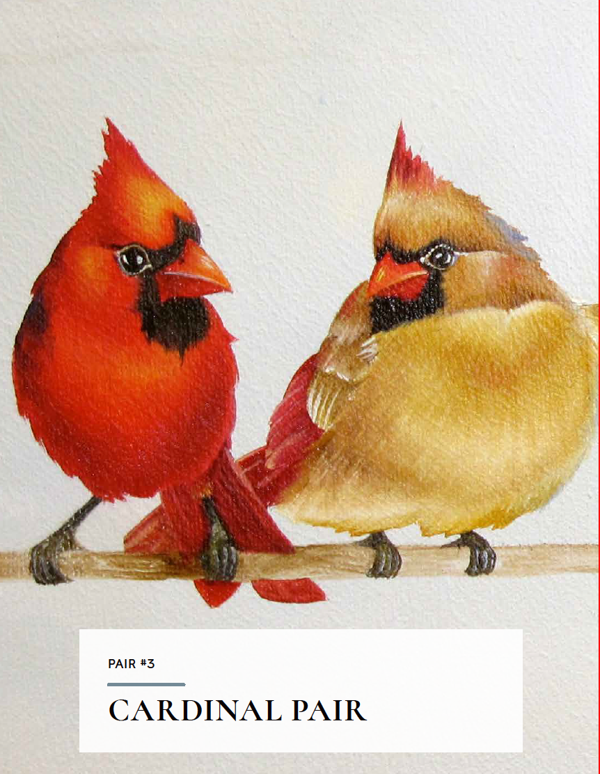 How to Paint Backyard Birds for Beginners