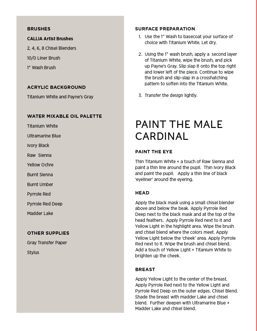 How to Paint Backyard Birds for Beginners