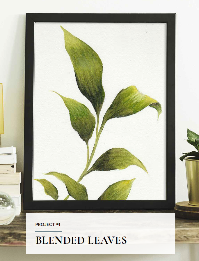 Quick & Easy Painting ™ Birds & Flowers for Beginners Ebook