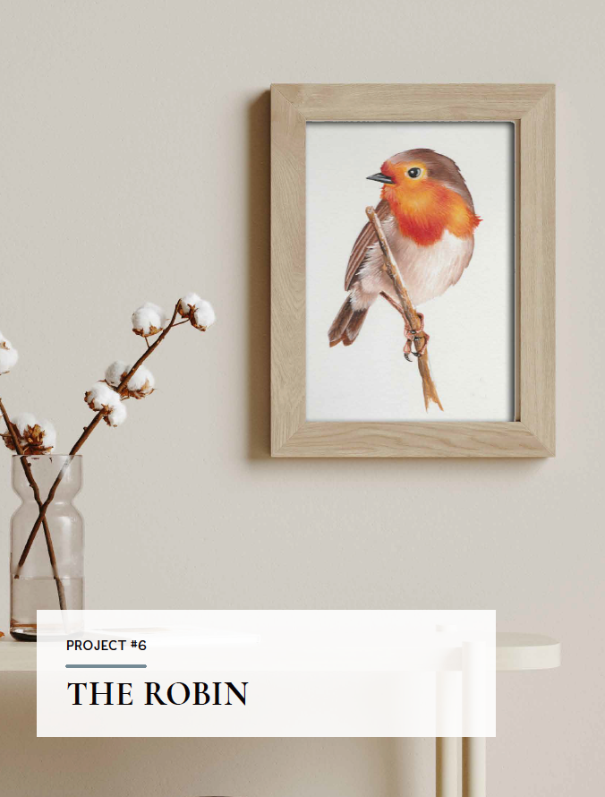 Quick & Easy Painting ™ Birds & Flowers for Beginners Ebook